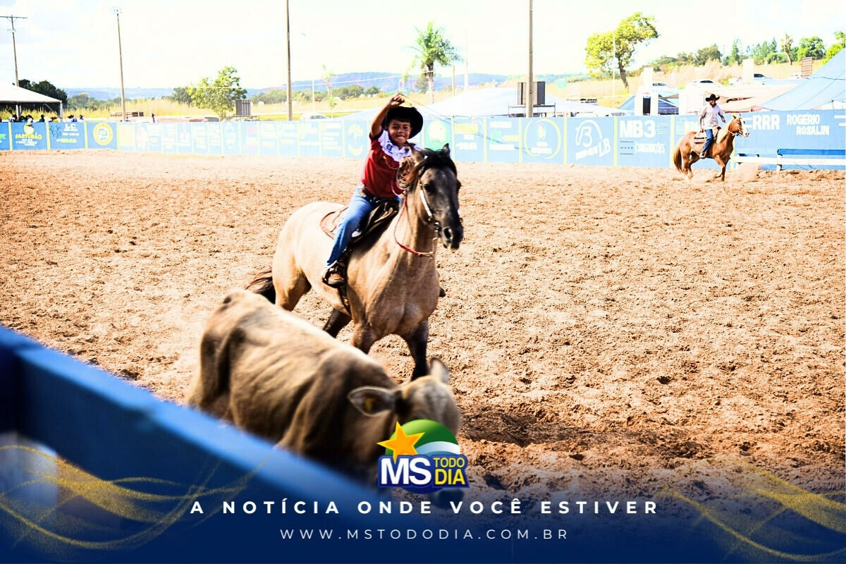 Imagem da Galeria
